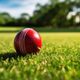 How to Shine a Cricket Ball?